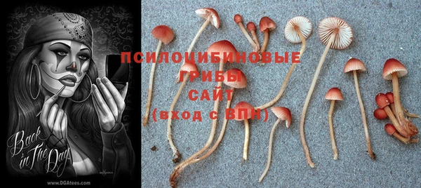 PSILOCYBIN Арсеньев