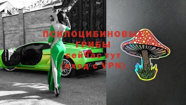 PSILOCYBIN Арсеньев